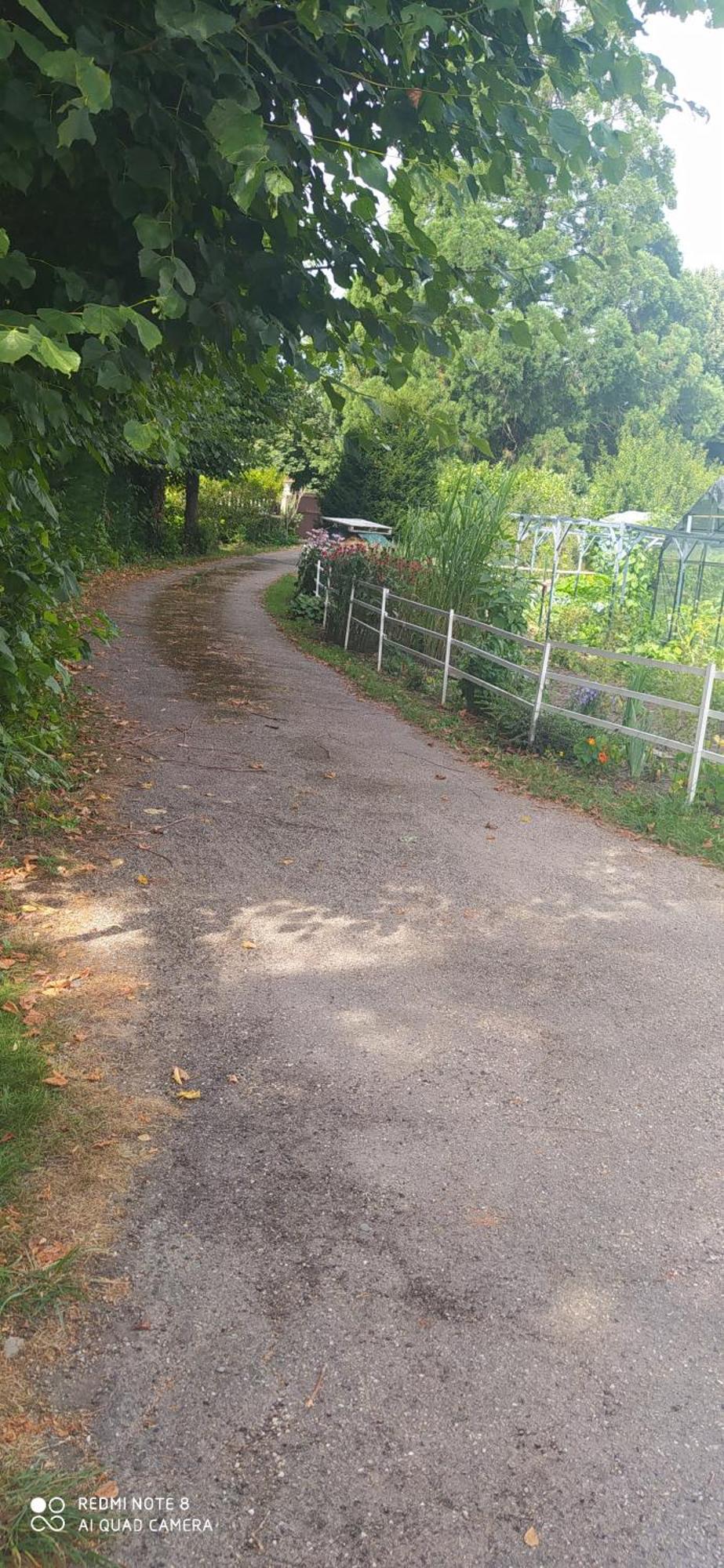 Logement Independant Attenant A Une Maison Dans Grand Jardin Retournac Bagian luar foto